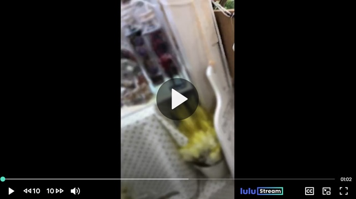 JKパンチラ盗撮